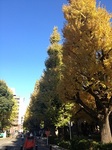 IMG_8526.JPG