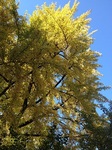 IMG_8539.JPG
